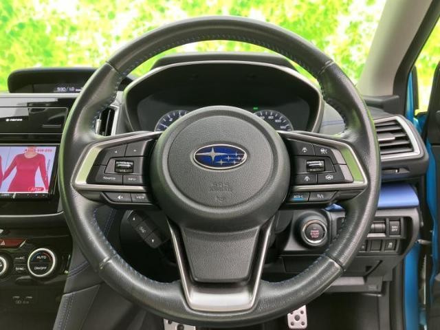 25090634_carP_l_9.jpg