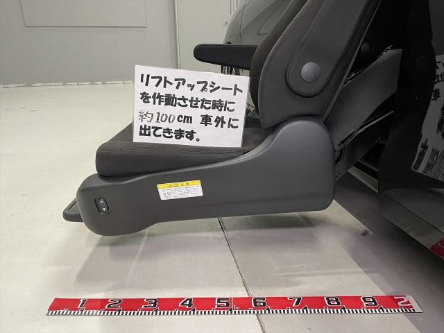 16199679_carP_l_2.jpg