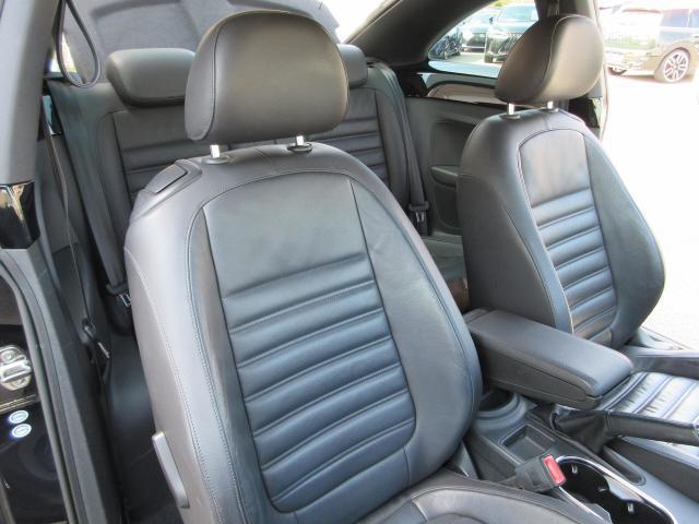 17352868_carP_l_13.jpg