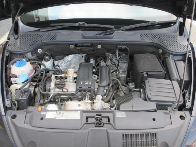 17352868_carP_l_17.jpg