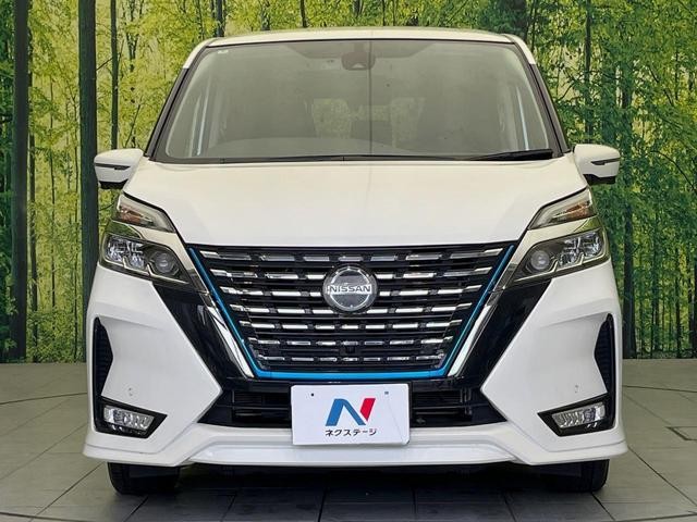 25904078_carP_l_9.jpg