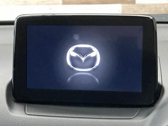23747562_carP_l_4.jpg