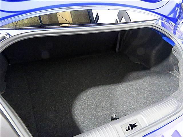 23988110_carP_l_18.jpg