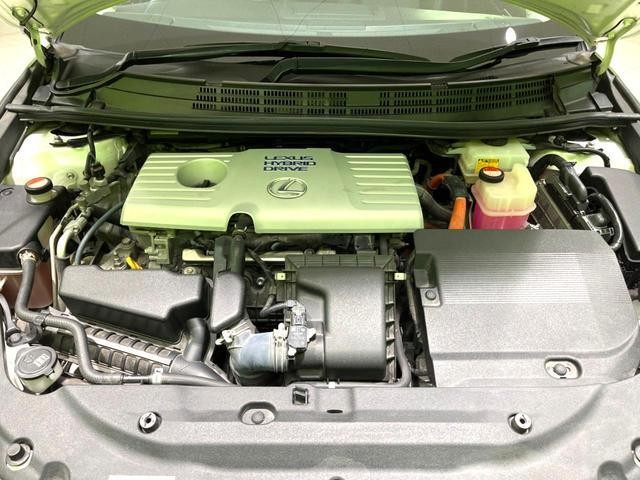 25904121_carP_l_18.jpg