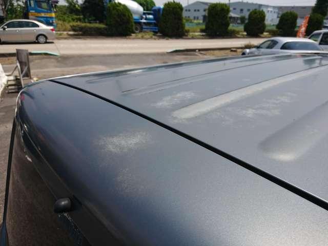 19257007_carP_l_12.jpg