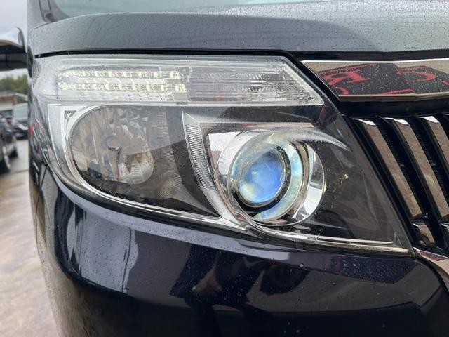 26815750_carP_l_12.jpg