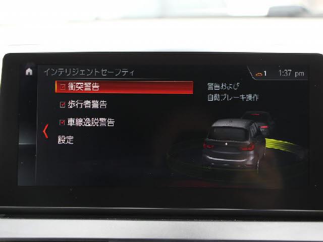 22301666_carP_l_17.jpg