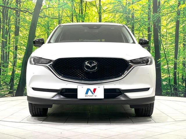 20159747_carP_l_8.jpg
