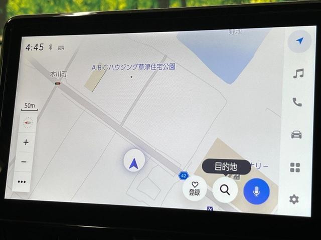 24891584_carP_l_4.jpg