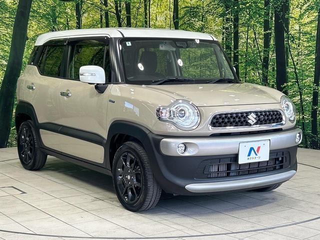 25117880_carP_l_11.jpg