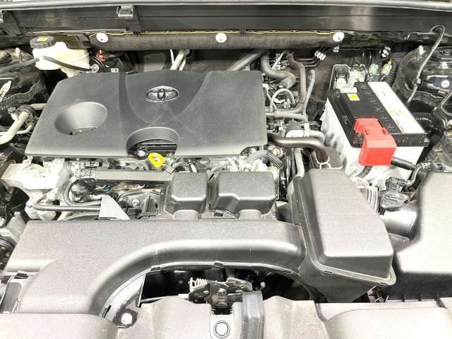 24280588_carP_l_20.jpg