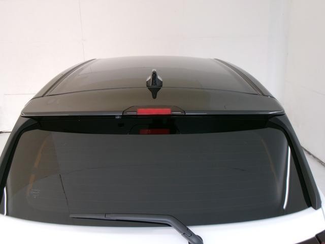 24520772_carP_l_11.jpg