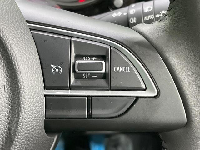 23282194_carP_l_14.jpg