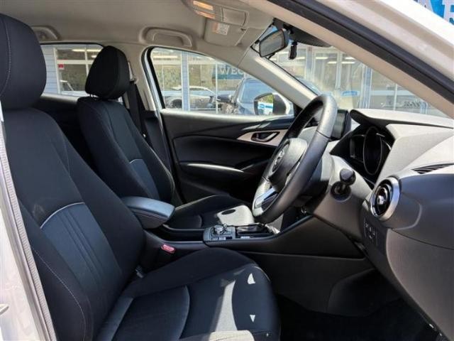 24386326_carP_l_10.jpg