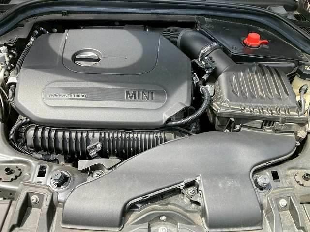 23472093_carP_l_16.jpg
