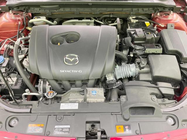 22525845_carP_l_11.jpg