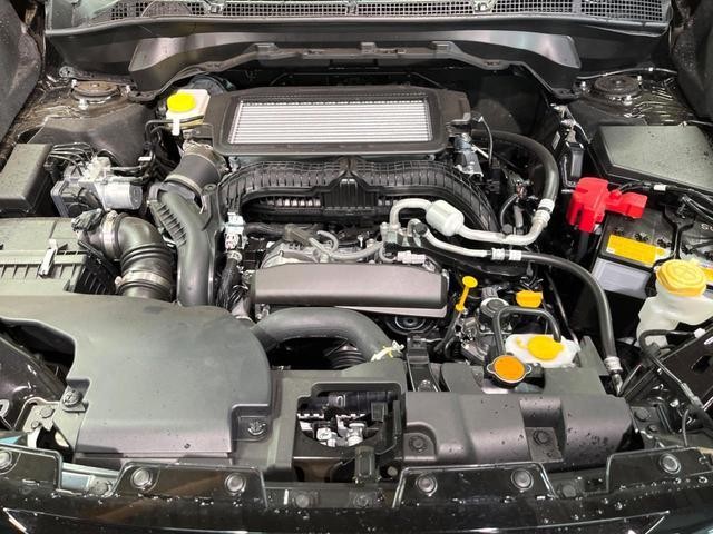 22429130_carP_l_16.jpg