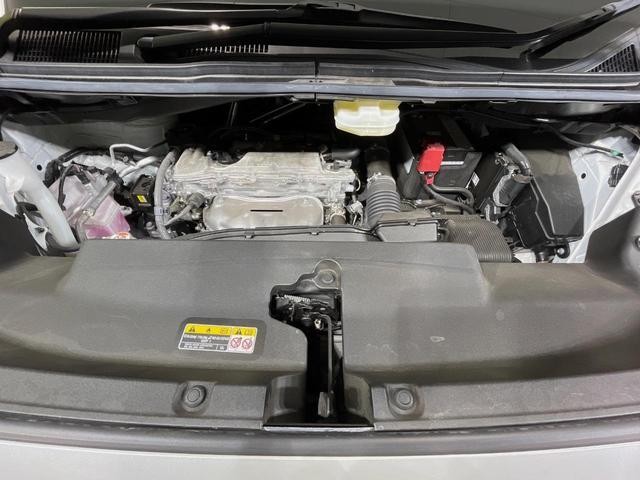 25056359_carP_l_18.jpg