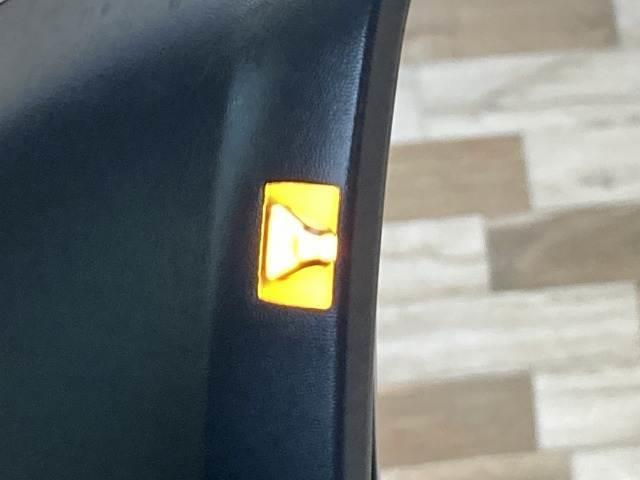 22016338_carP_l_17.jpg