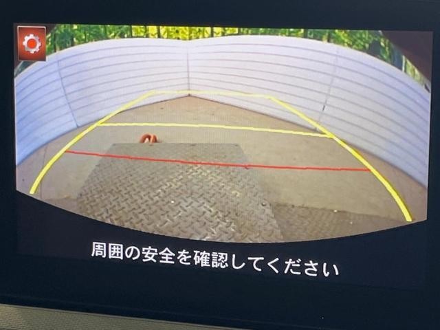 24259478_carP_l_4.jpg