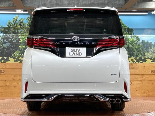 21027657_carP_l_11.jpg