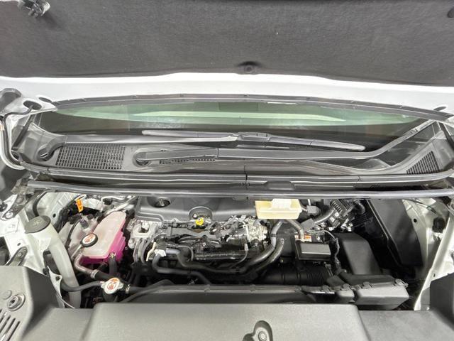 21027657_carP_l_18.jpg