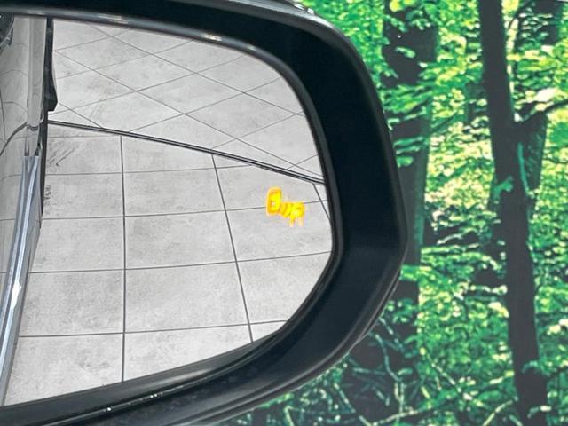 23034865_carP_l_17.jpg
