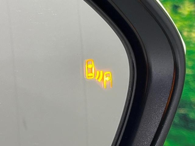24582074_carP_l_14.jpg