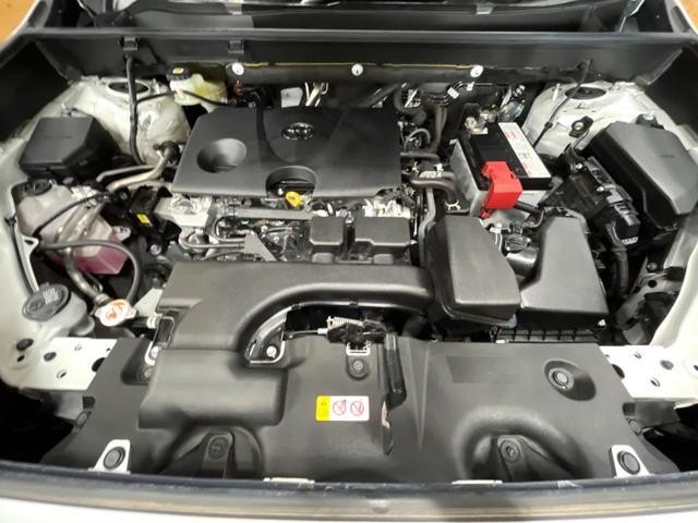 23477493_carP_l_16.jpg