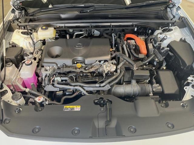 25241135_carP_l_16.jpg