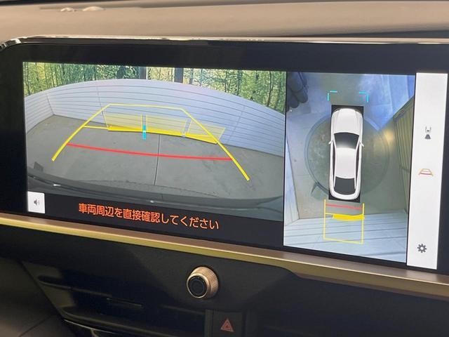 25241135_carP_l_4.jpg