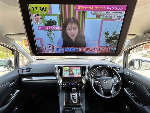 02.jpg