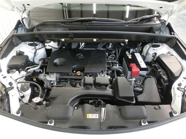 22058734_carP_l_16.jpg