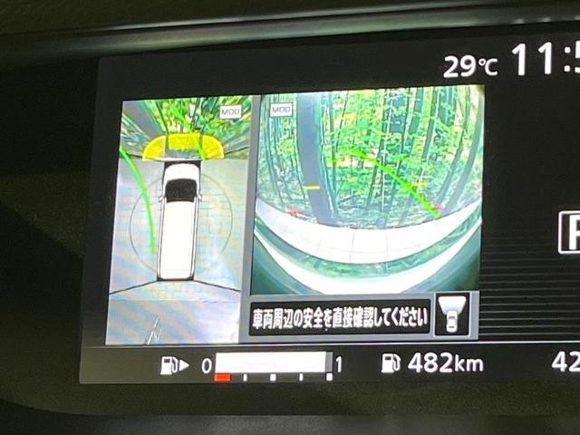 24665037_carP_l_4.jpg