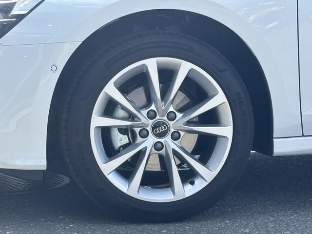 24161561_carP_l_12.jpg