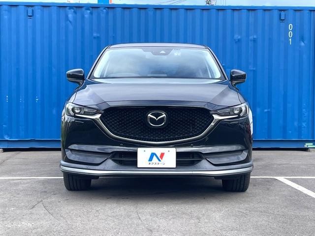 24521639_carP_l_8.jpg