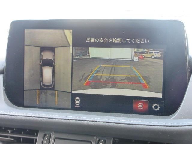 24619925_carP_l_10.jpg