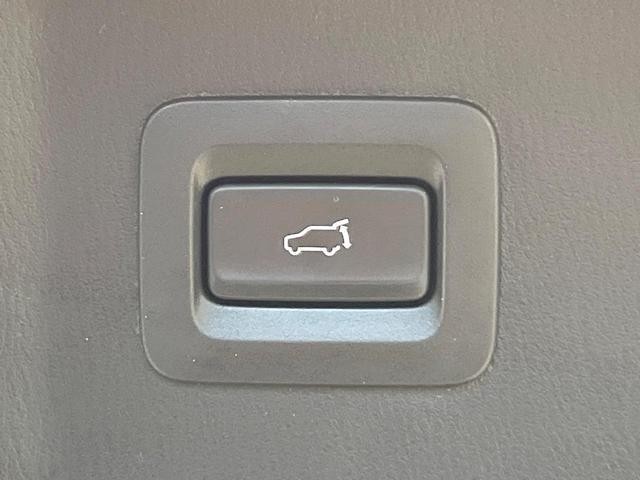 26446062_carP_l_14.jpg