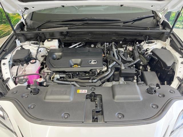 24521512_carP_l_20.jpg