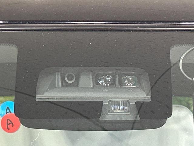 25904484_carP_l_10.jpg