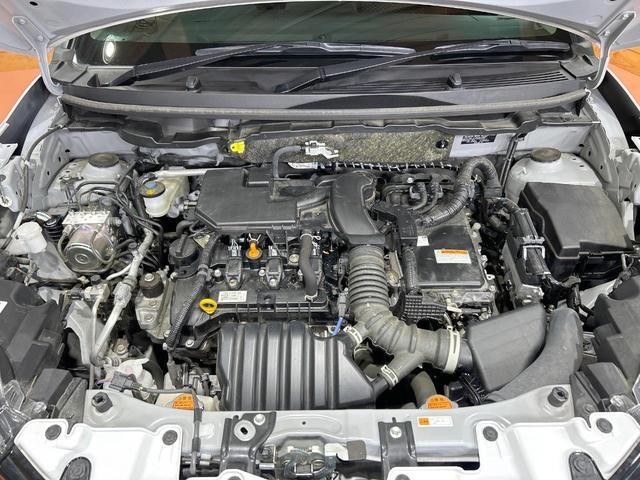 25117921_carP_l_16.jpg