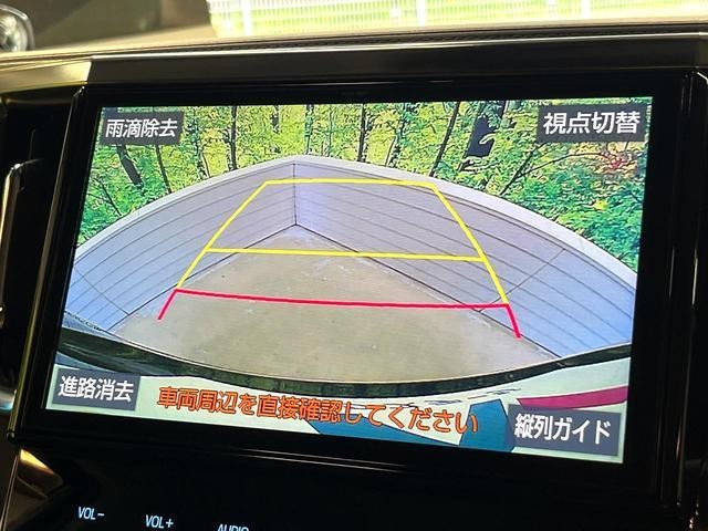 24625255_carP_l_4.jpg