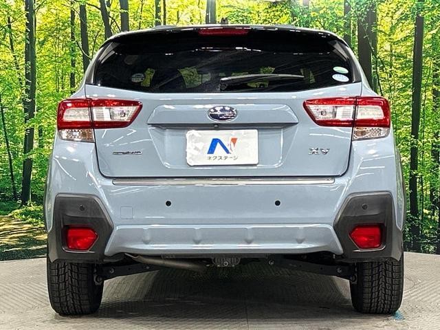 24239648_carP_l_9.jpg