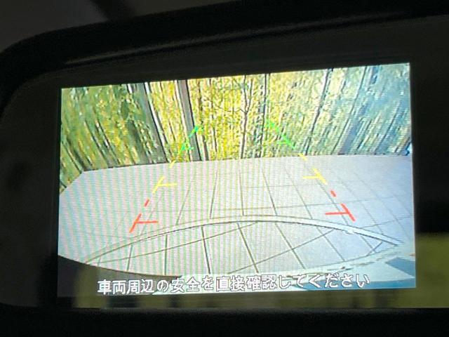 23301592_carP_l_10.jpg