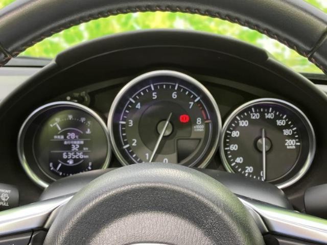 24406491_carP_l_6.jpg