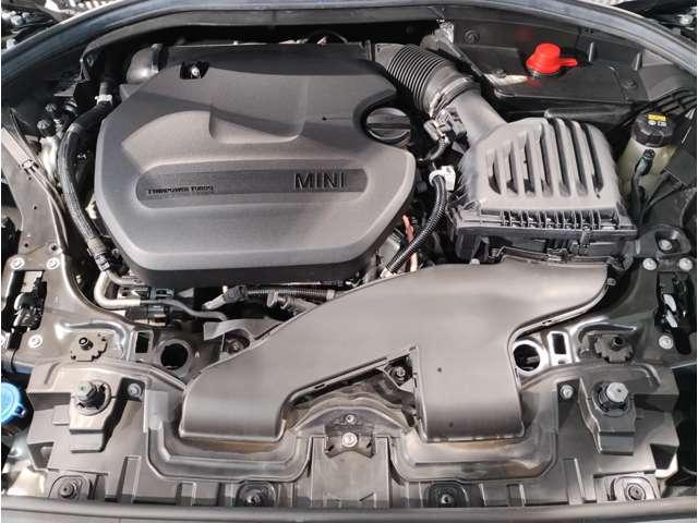 23069526_carP_l_6.jpg
