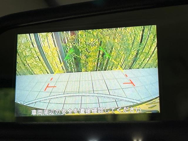 25158044_carP_l_4.jpg