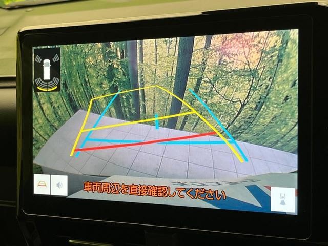 24199486_carP_l_10.jpg