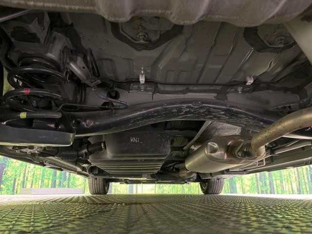 24199486_carP_l_20.jpg