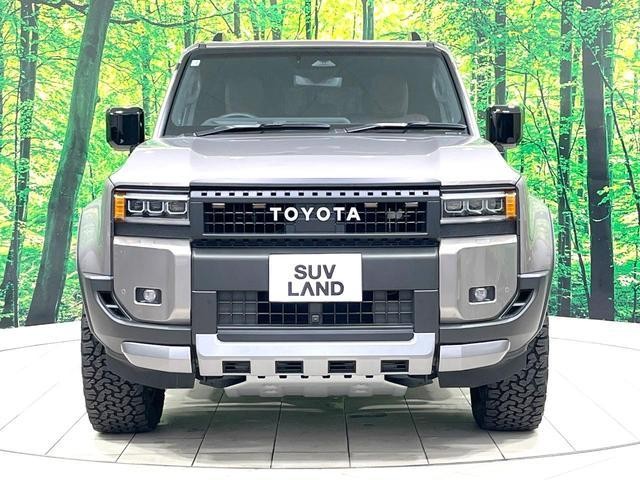 25942864_carP_l_16.jpg